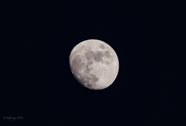 DSF6176.jpg