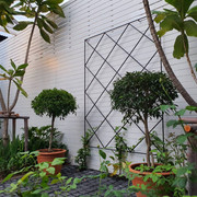 Garden-1