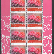251