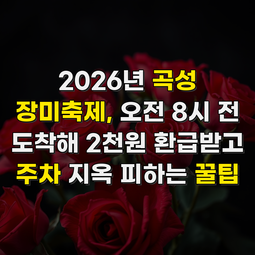 2026년 곡성 장미축제, 오전 8시 전 도착해 2천원 환급받고 주차 지옥 피하는 꿀팁