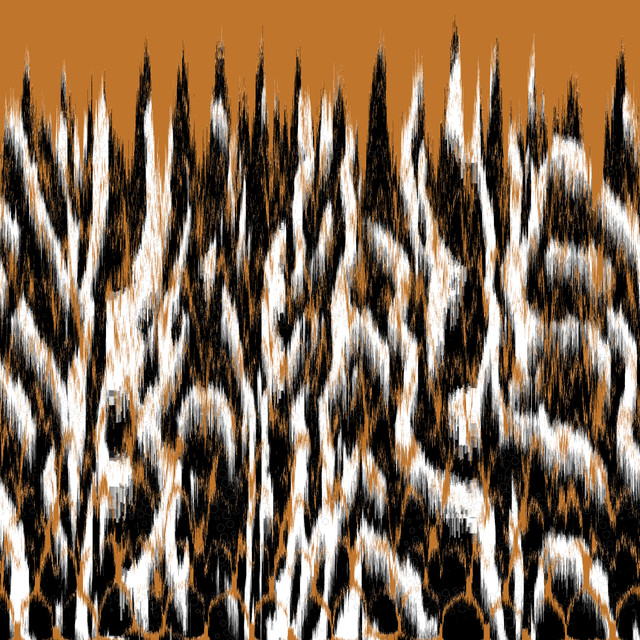 shutterstock 1916749475.jpg