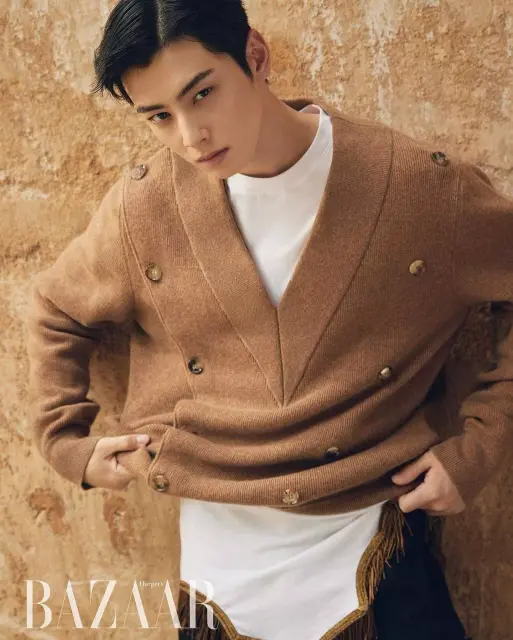 cha eun woo 1246947