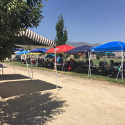 Picnic2018 (34)
