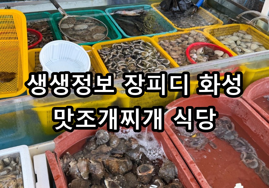 생생정보 장피디 화성 맛조개찌개 식당 대표 이미지