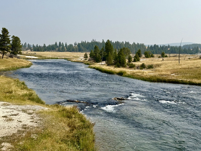 IMG-7710.jpg