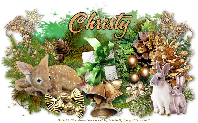 Christy 4974B.png