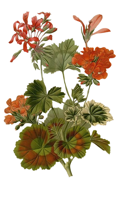 82094edbd32b97f8412dfe82a9586d23.png
