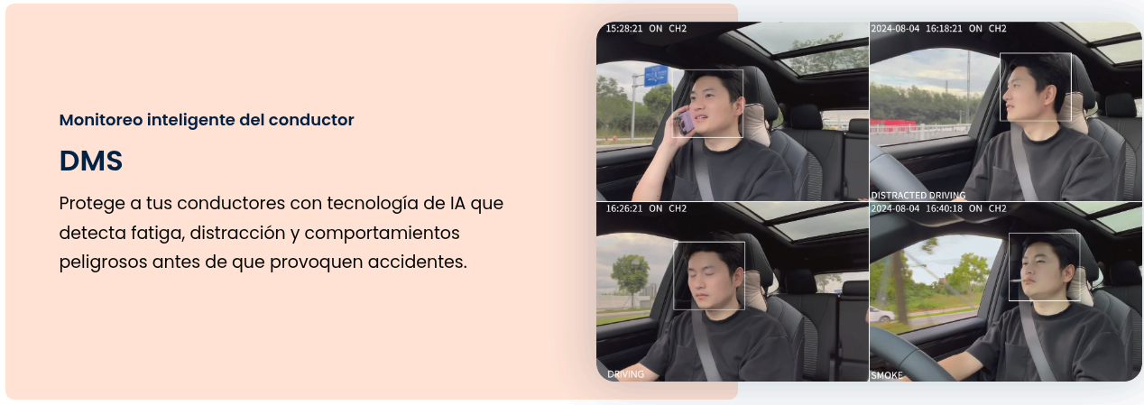 Funcionamiento DMS