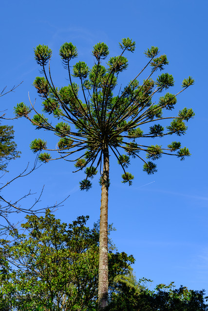 DSF5977.jpg