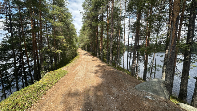 IMG 4580.jpg