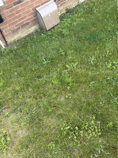 IMG 0981.jpg