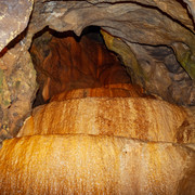 L1013469