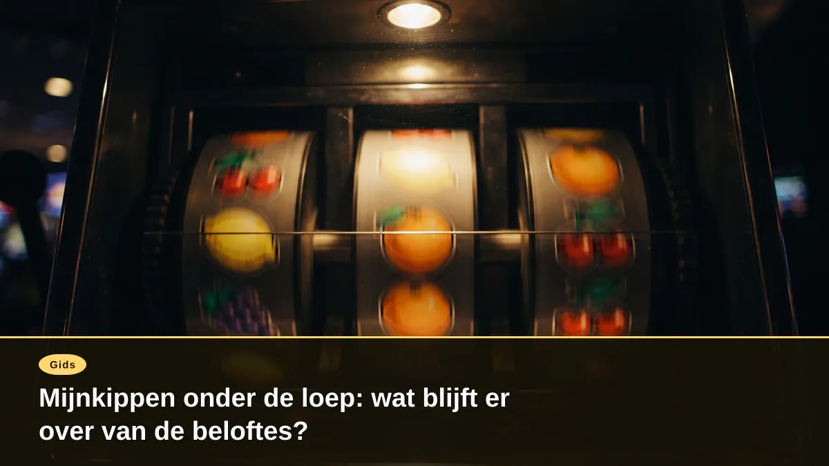 Mijnkippen onder de loep: wat blijft er over van de beloftes?