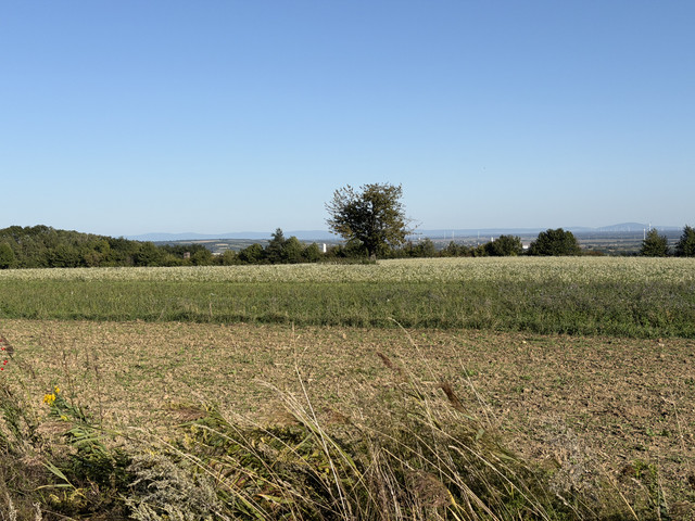 IMG-0373