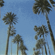 c6af4b880c7f460763685cf03ae49b3d.gif