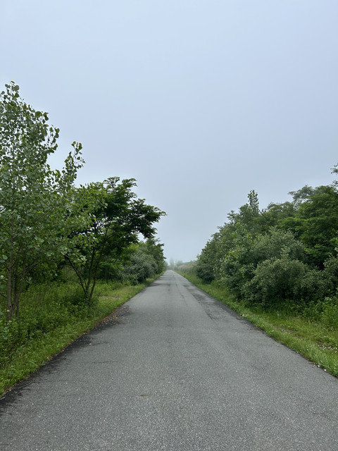 IMG-7276