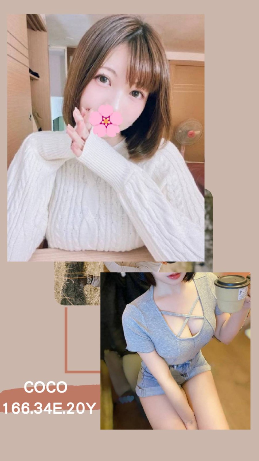 COCO圖片