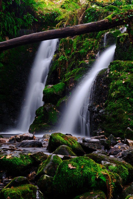 DSCF2650.jpg