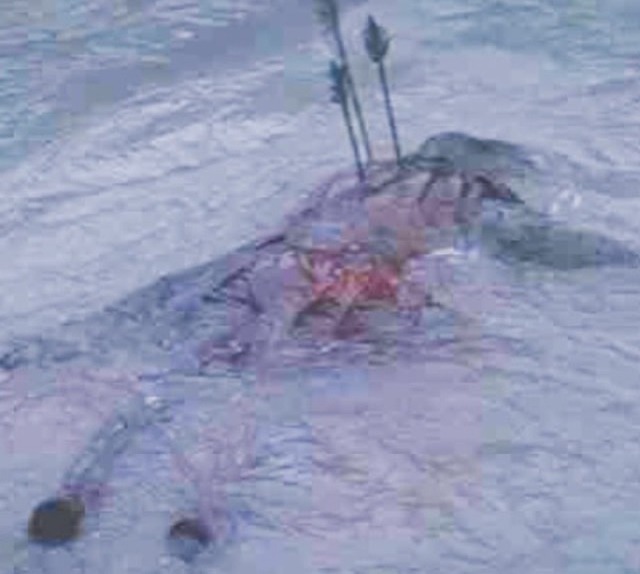 ogu yuzi