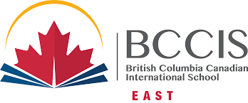 BCCIS Logo