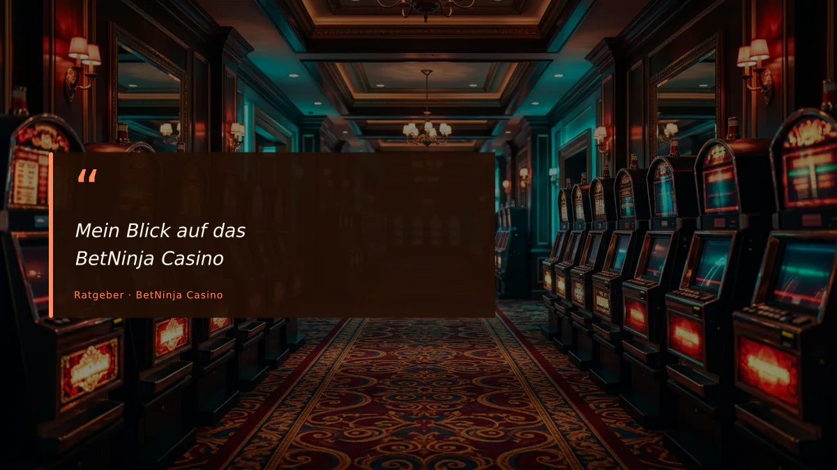 Mein Blick auf das BetNinja Casino
