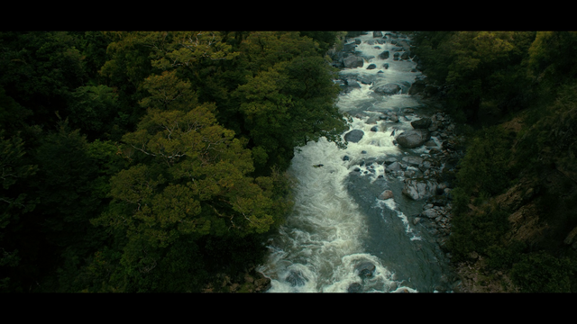 4a72983ddf8a.png