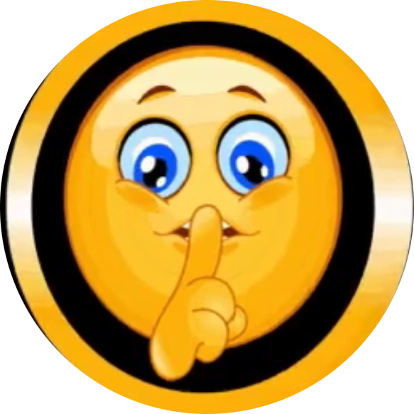 ShhhToshi coin