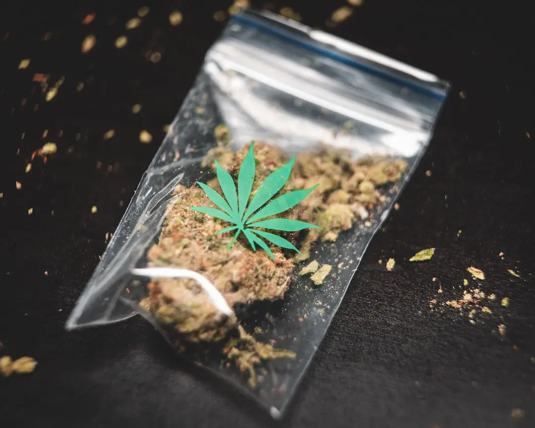 Cannabisul dubleaza riscul bolilor mintale la adolescenti