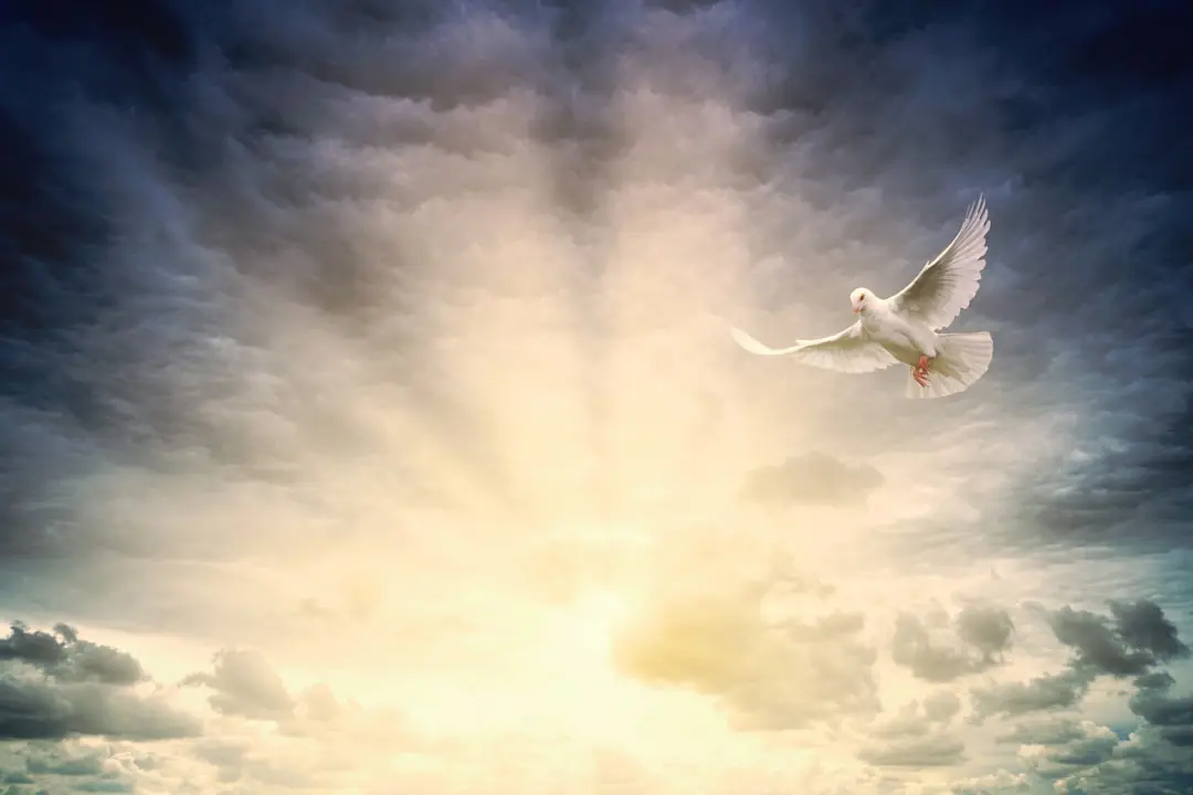 Unlocking Spiritual Significance of 508