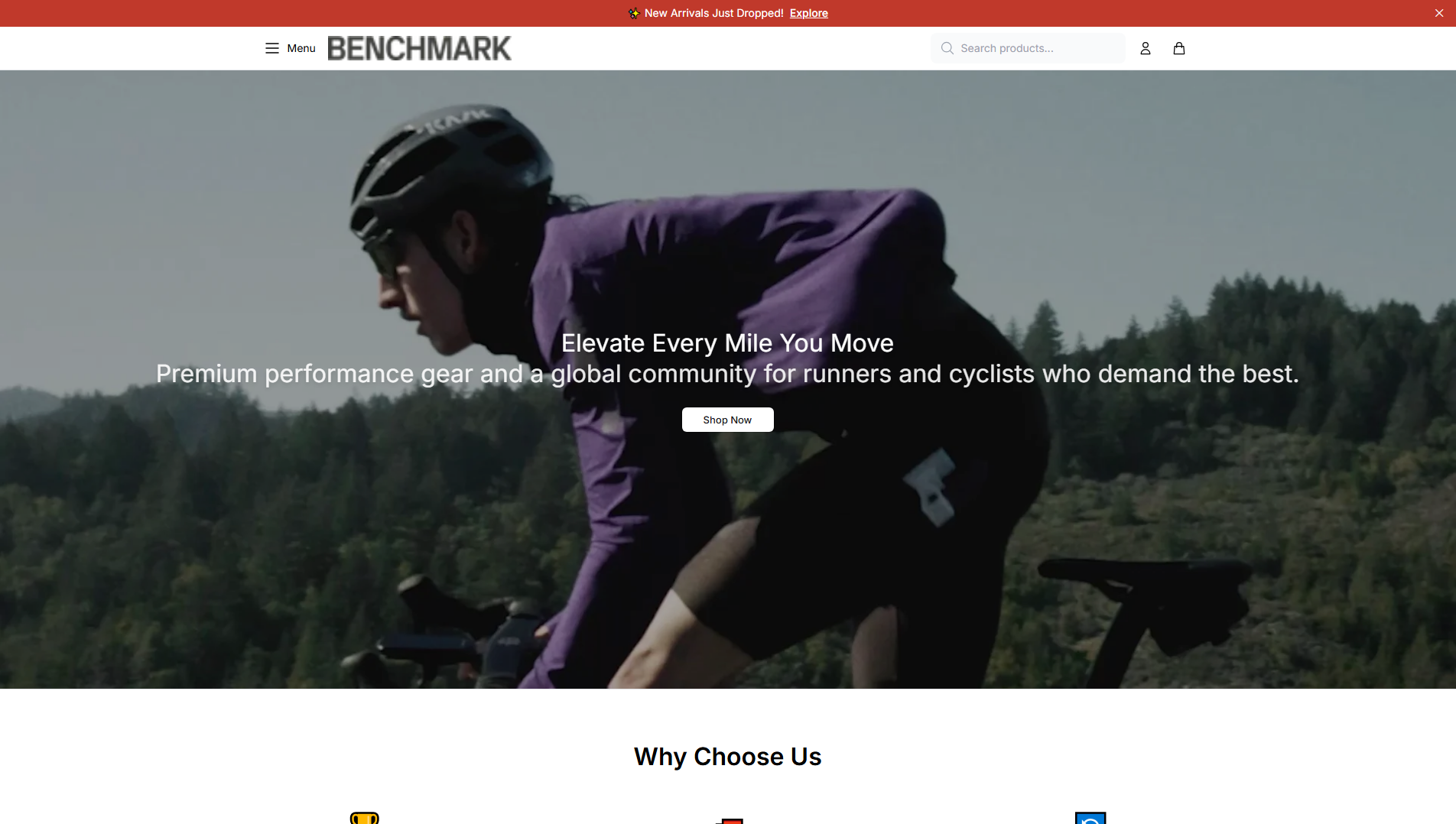 Stored capture of benchmarkperformance.shop