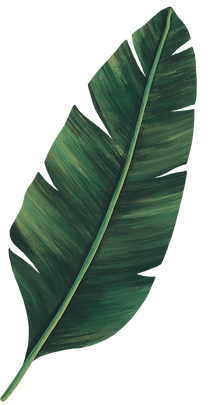 leaf 203 edited edited.png