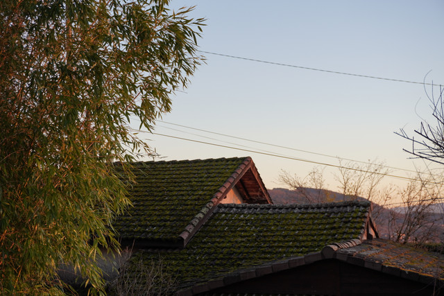 DSC00038