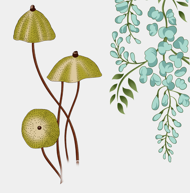 shutterstock-1994975129.jpg