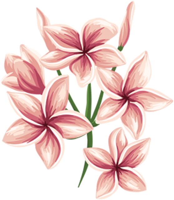 Layer 22 (1).png