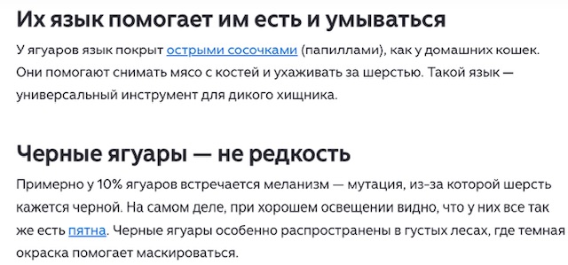 https://i.ibb.co/xts8Vksp/IMG-0494.jpg