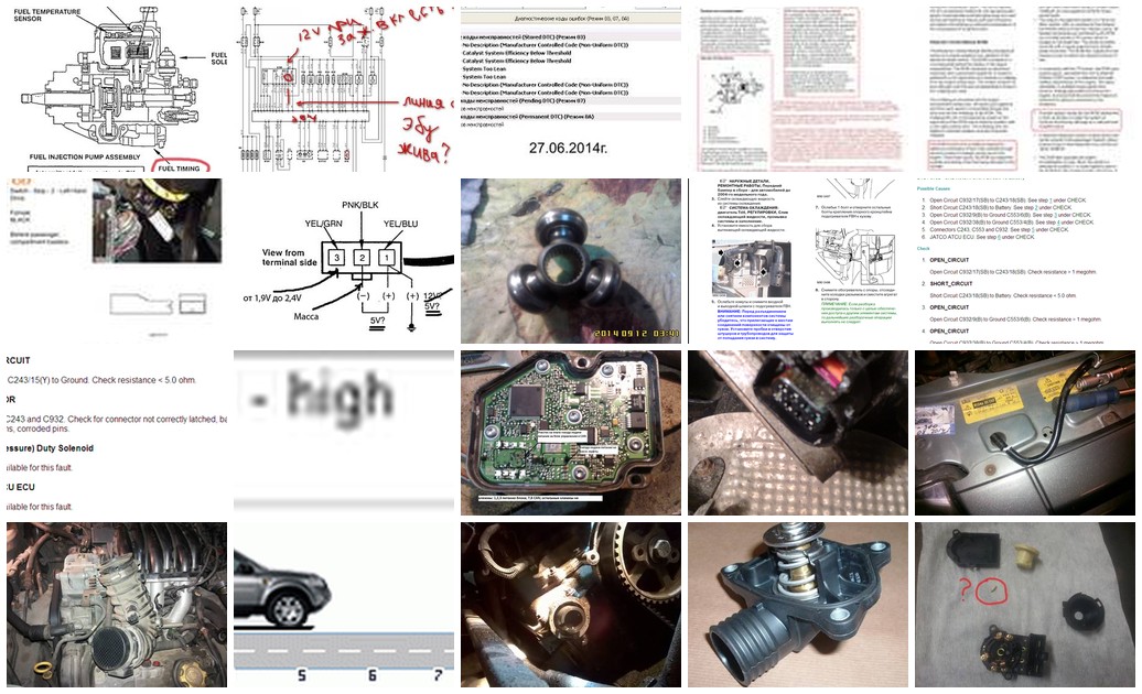https://i.ibb.co/xtsTXTGd/6113-collage.jpg