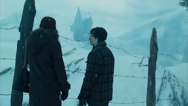 harry2.jpg