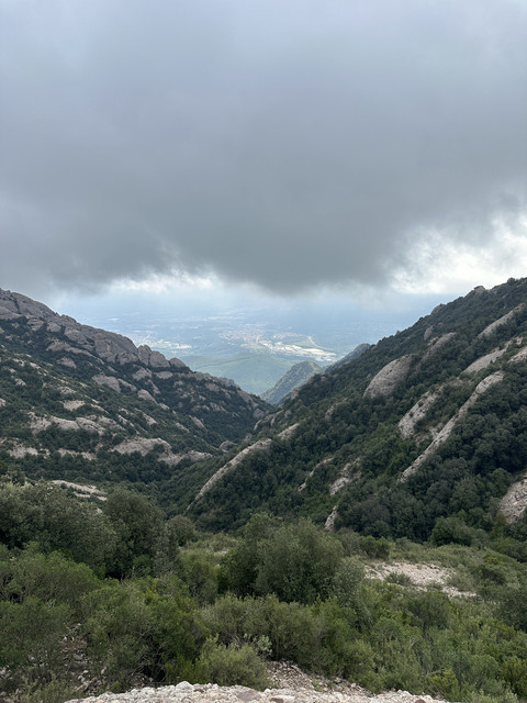 IMG-2854