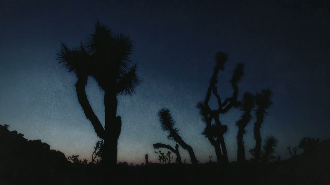 Trees, and Other Entanglements Screenshot
