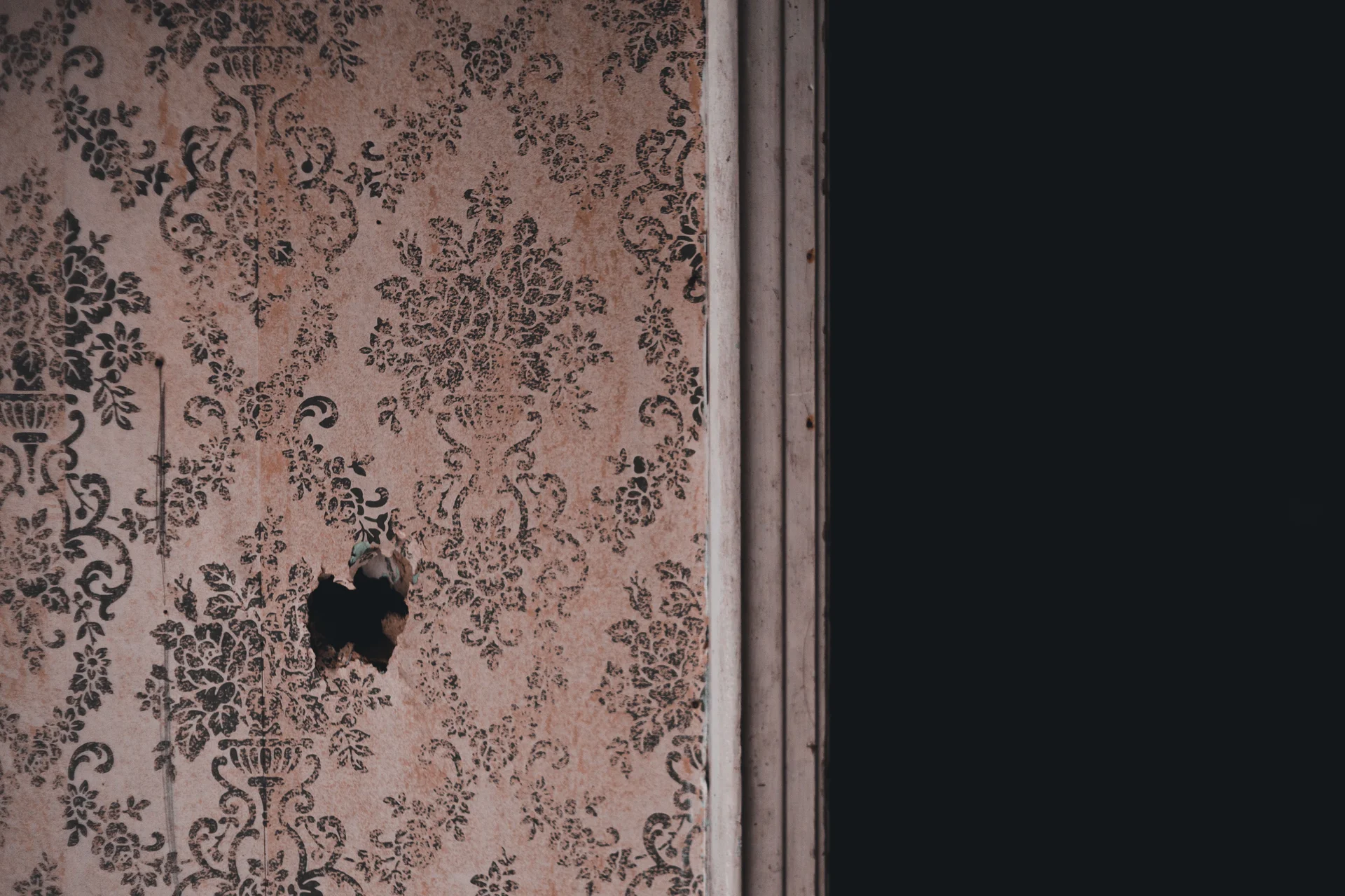 High quality Wallpaper Vintage wallpaper by Erik Mclean from Pexels