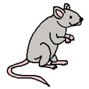 Hidden Mice