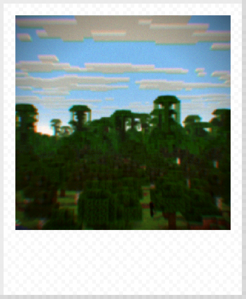 Blurry Jungle Photo