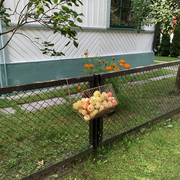 IMG-3377