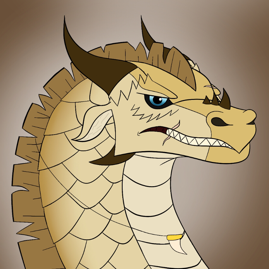 IMG-4119.png