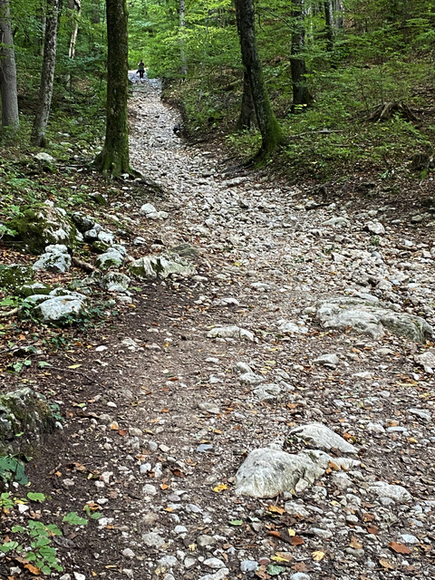 IMG-2925