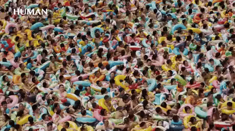 https://i.ibb.co/xzKmS2v/2.gif