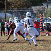 IMG-4331
