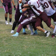IMG-7535