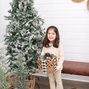 IMG-6587