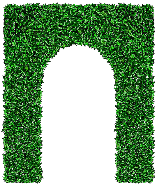 oie-141542561t-Rc-Fv-PY.png